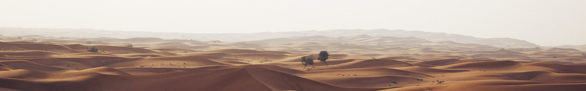 ιƼ޹˾